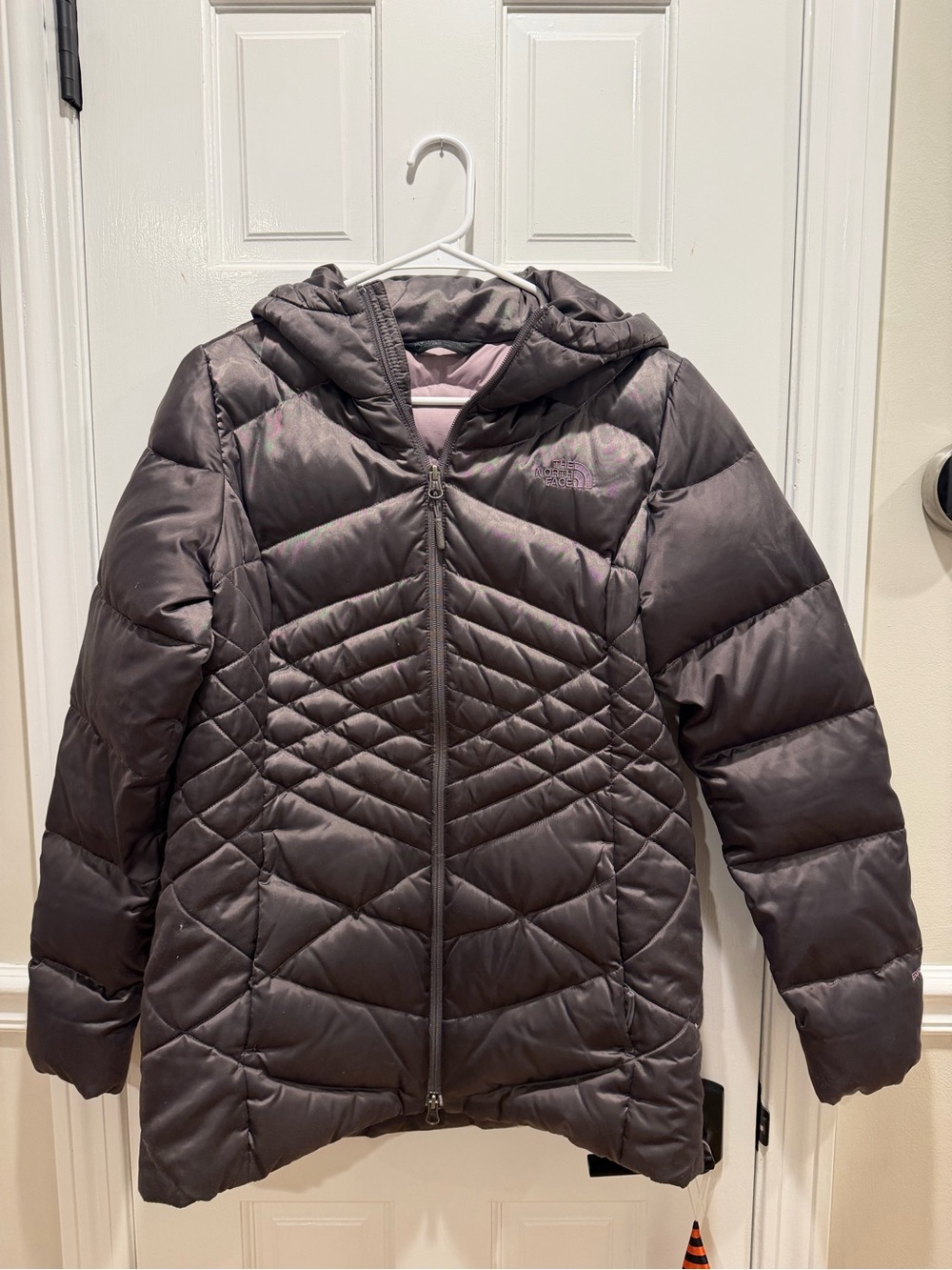 The North Face Women’s Hooded Puffer Jacket